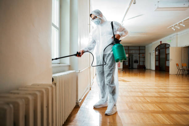 Best Flea Control Services  in Forest Heights, TX